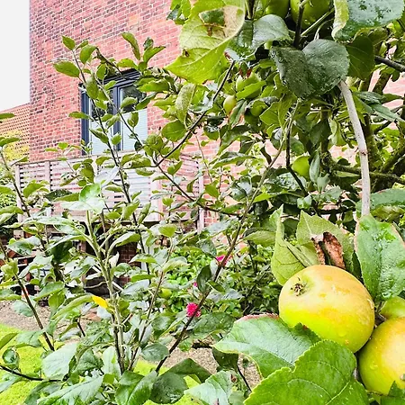 Tatil Evi Stader Kapitaenshaus Mit Garten